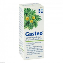 GASTEO Tropfen (20 ML)